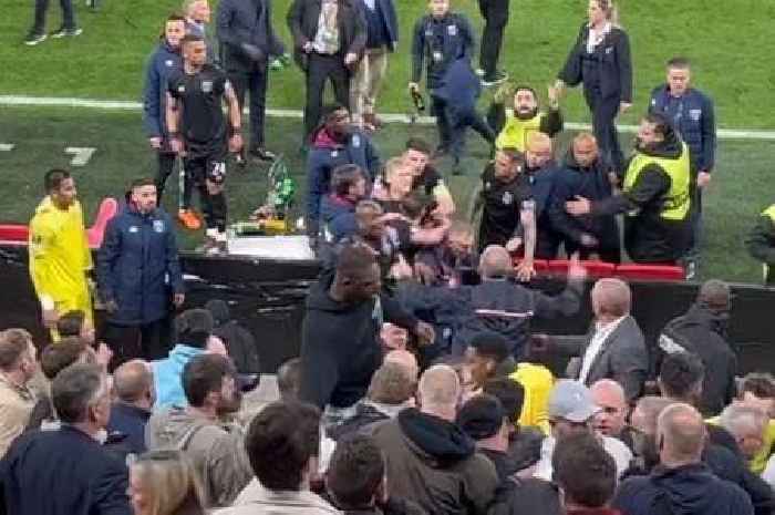West Ham legend Marlon Harewood speaks out after witnessing Alkmaar hooligan carnage