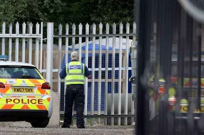 Man mauled to death by 'out of control' dog that was later shot dead by police