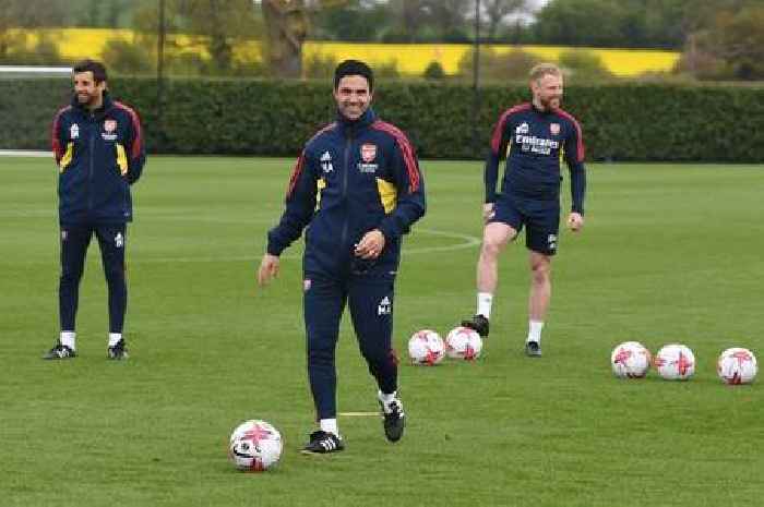 Mikel Arteta reveals how a dog and a tree helped him and Arsenal recover from title heartbreak