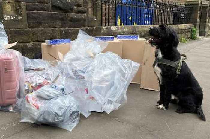 Sniffer dog finds 50,000 illegal cigarettes during Scots shop raid