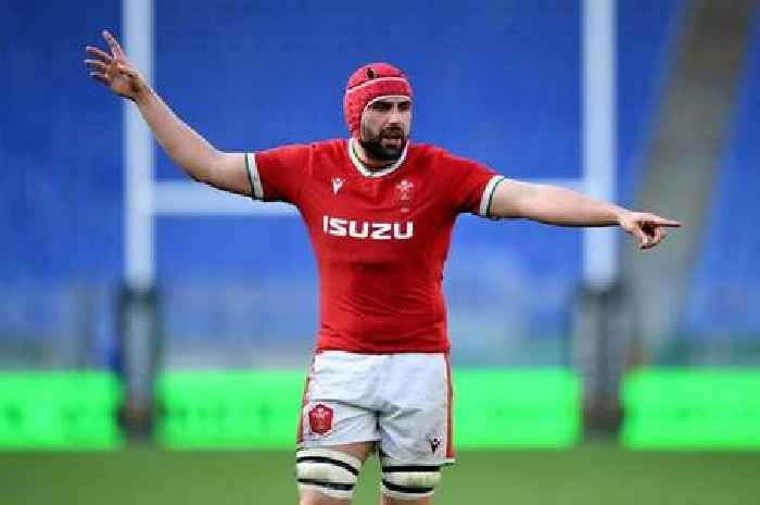 Wales star Cory Hill announces he is leaving Japan, triggering a race for his signature from Welsh regions and French clubs