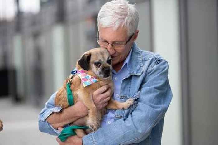 ITV announce household name will replace Paul O'Grady on For The Love of Dogs