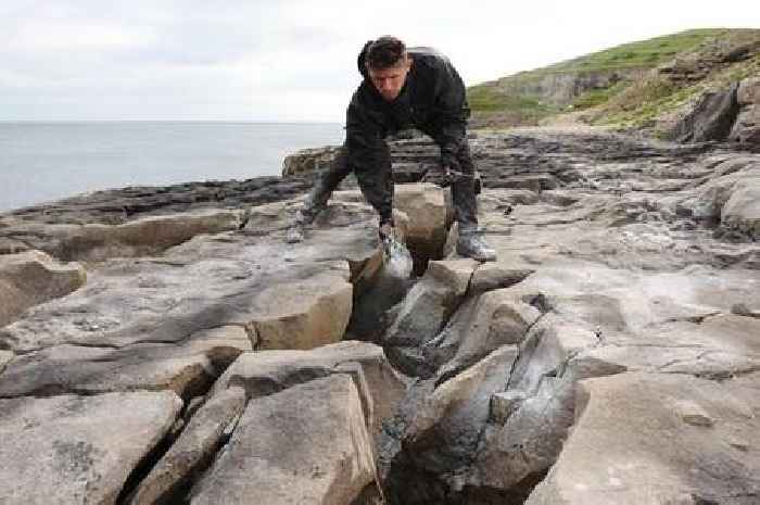 Incredible earth mural of Triceratops appears at Jurassic Coast quarry