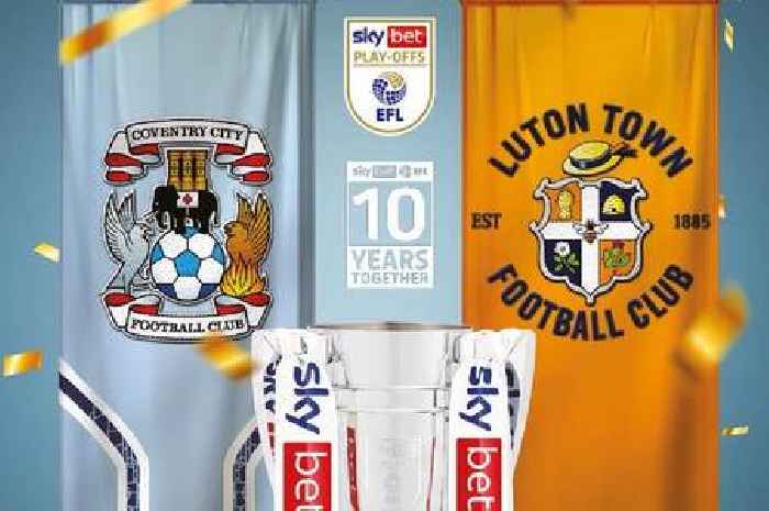 How Hull City can take inspiration from Championship play-off finalists Luton and Coventry City