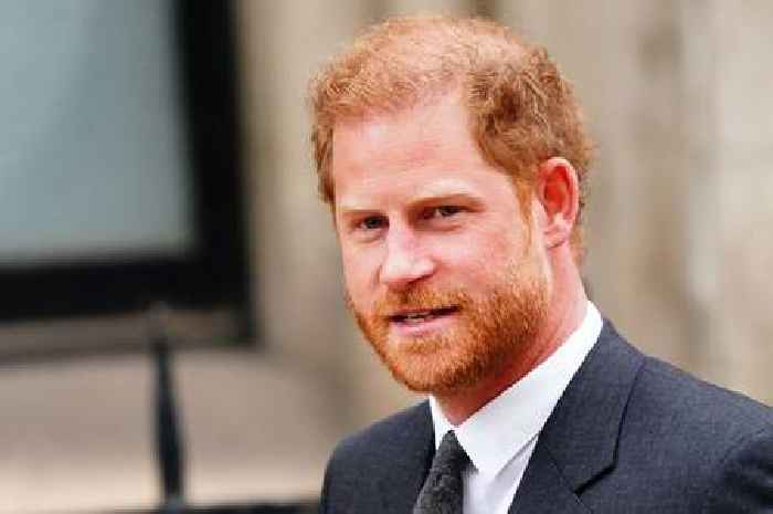 Prince Harry loses legal bid to challenge Home Office over police protection