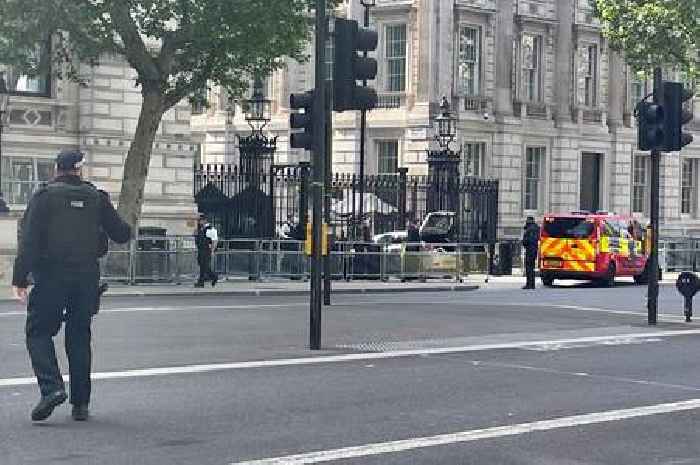 Car crashes into Downing Street gates as police close off Whitehall and armed officers arrest man