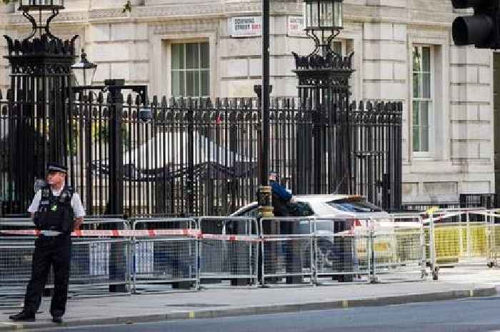 Dramatic footage shows aftermath of Downing Street gates car crash