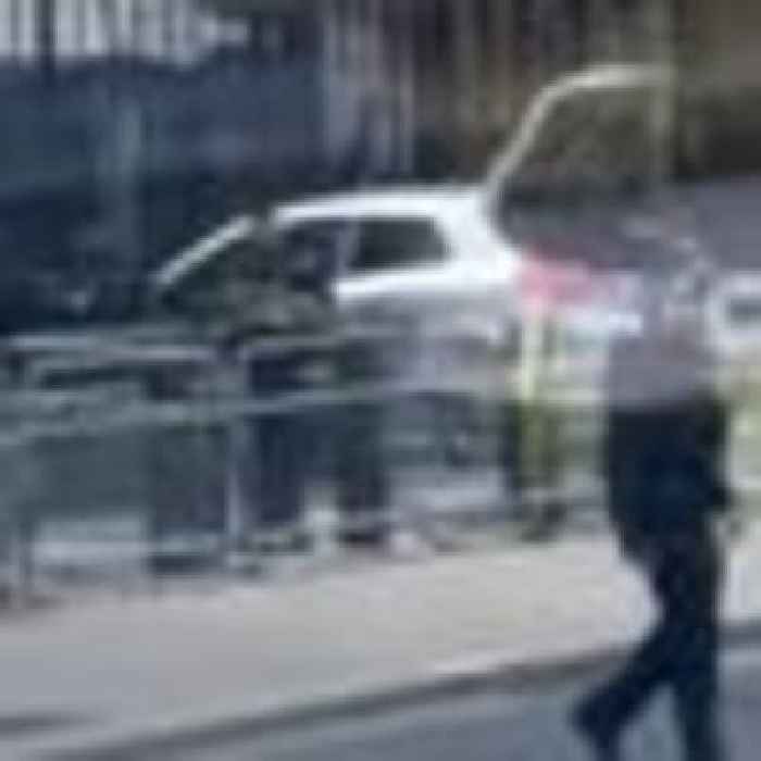 One person arrested after car hits Downing Street gates