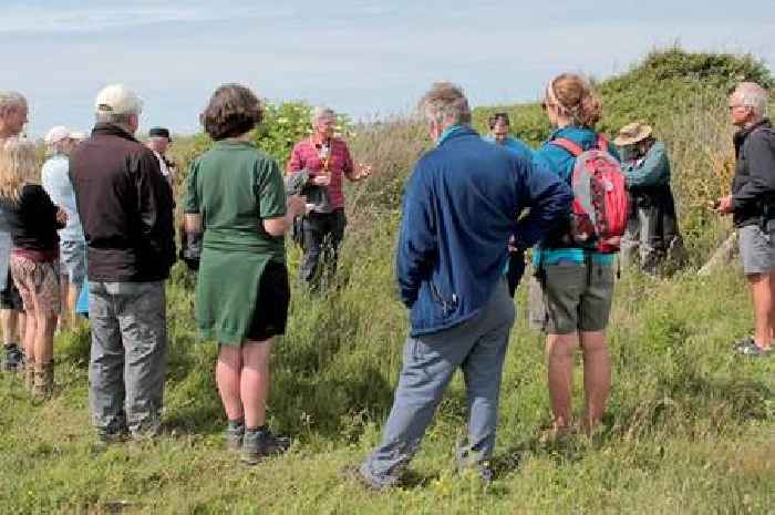 Help with a Nature audit and get free entry to Northam Burrows on BioBlitz Day