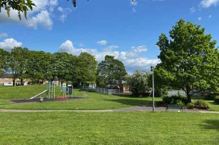 Kingshurst Park set for big revamp with new seating and play area planned