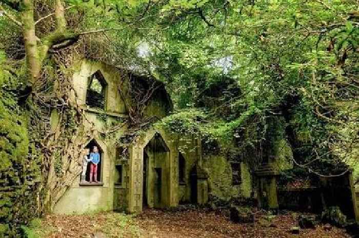 The old and forgotten Welsh village that has been reclaimed by nature