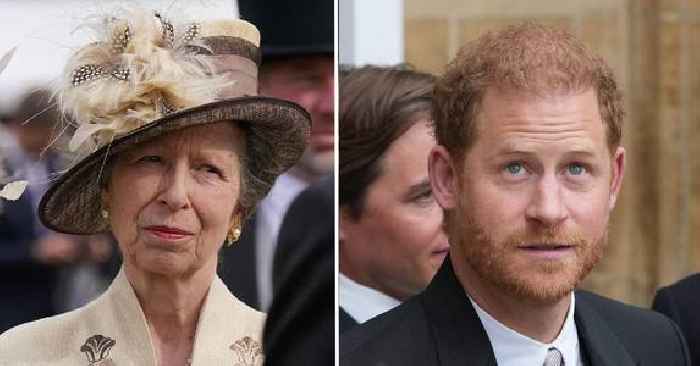 Princess Anne Has a 'Soft Spot' for Prince Harry, But She's 'Very Unhappy' With Him for Upsetting Queen Elizabeth, Royal Expert Claims