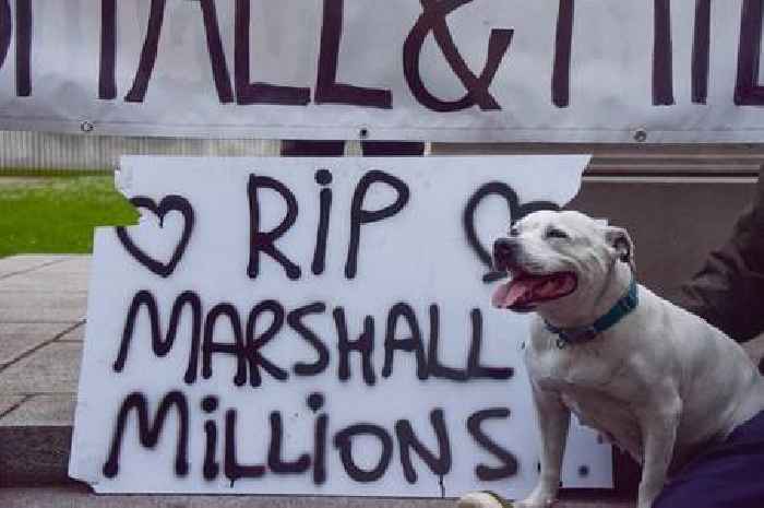 Derby Marshall and Millions vigil to be held in memory of dogs killed by police