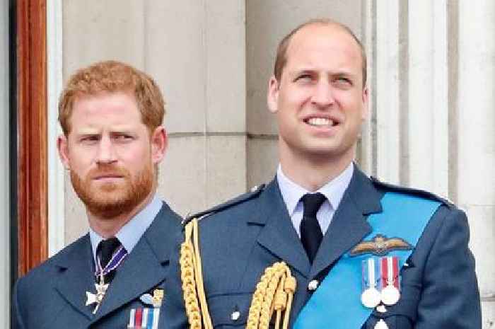 Prince Harry and William used secret code to communicate at royal funeral