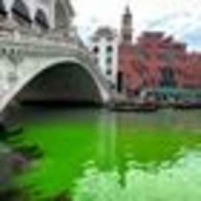 Why did Venice canal turn bright green?