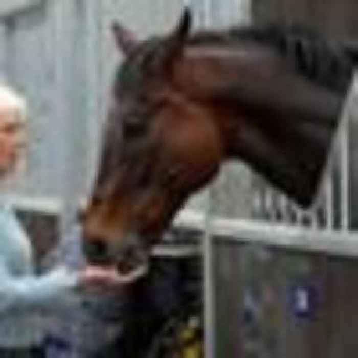 Royal mint: Queen has racehorse eating out of her hand during racing school tour