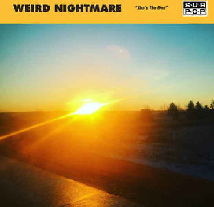 Weird Nightmare – “She’s The One” (The Ramones Cover)