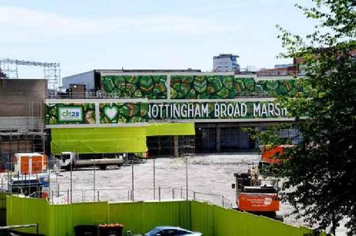 Nottingham Broadmarsh street traders plan a 'great idea’ but could make a ‘cluttered’ city, shoppers say