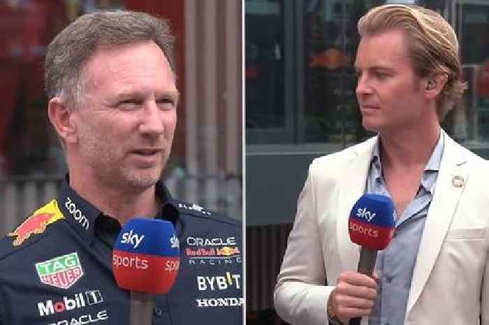 Christian Horner bites back at Nico Rosberg as F1 fans 'cringe' at awkward interview
