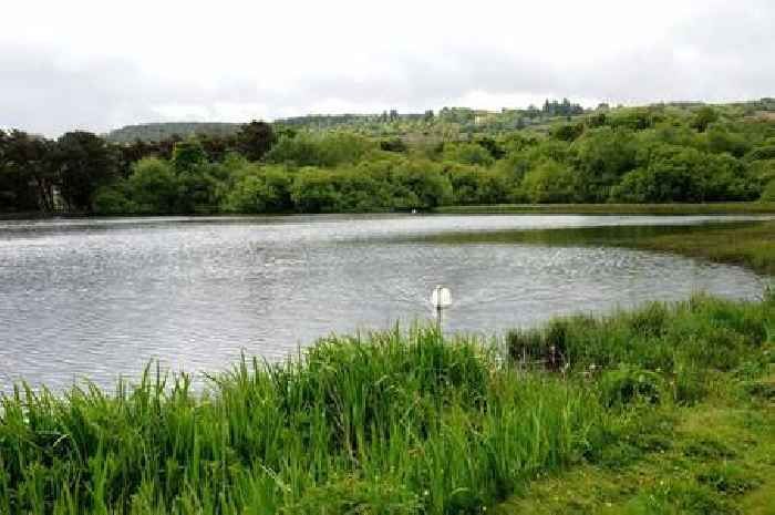 Repairs to Paisley park's pond edge 'would make big difference' as plans welcomed
