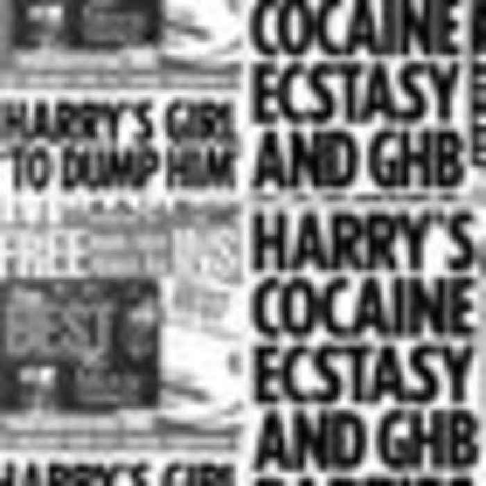 'Cocaine parties' and 'beach bum Harry': Which articles have been brought up in the duke's case?