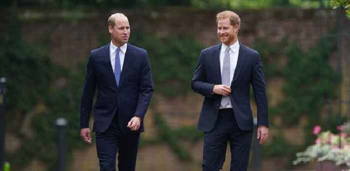 Prince Harry and Prince William's Painting Removed From National Portrait Gallery as Feud Rages on — See the Artwork