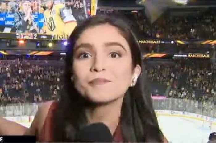 Stanley Cup reporter scolds fan for interrupting her as she issues blunt message