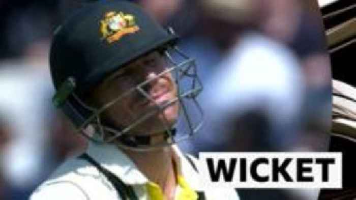 India get vital wicket of Warner for 43