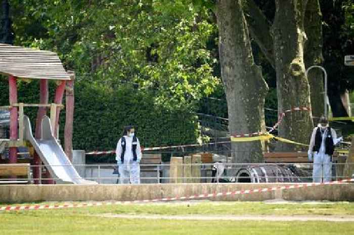 British girl, 3, among several children stabbed in French playground