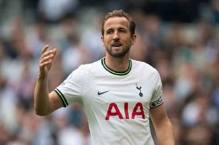 Harry Redknapp 'certain' over Harry Kane Tottenham transfer decision amid Real Madrid interest