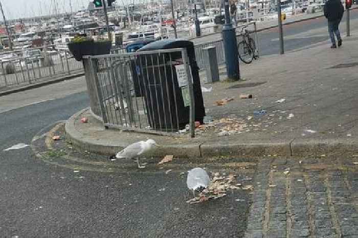 Pictures show aftermath of Kent heatwave weekend at busy seaside town