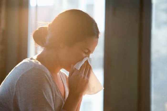 Hay fever sufferers urged to make important changes at home to reduce symptoms