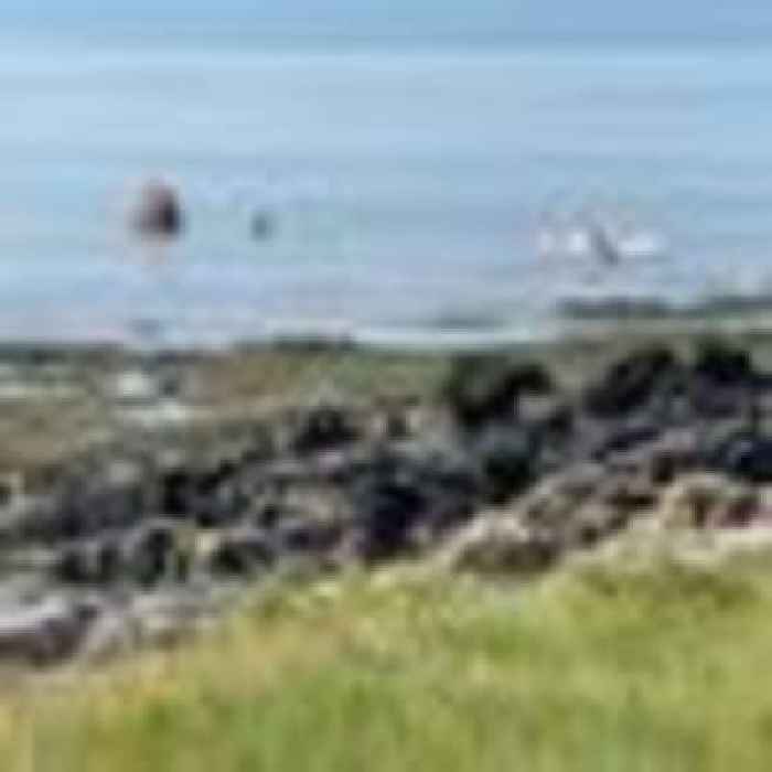 Light aircraft 'crash lands' on beach
