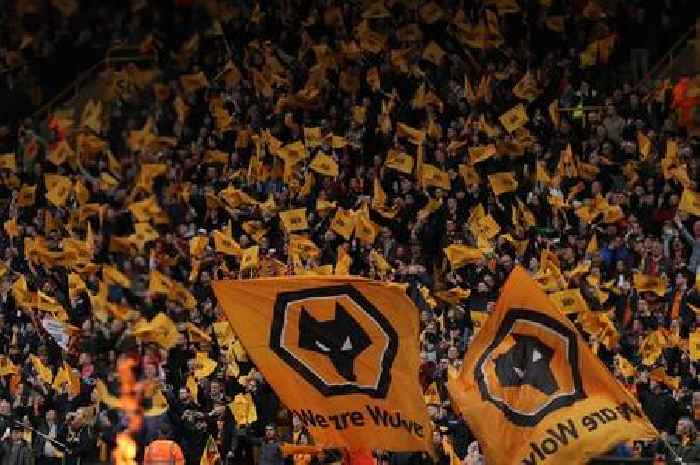 Fixtures and international breaks mean frustration for Wolves season-ticket holders
