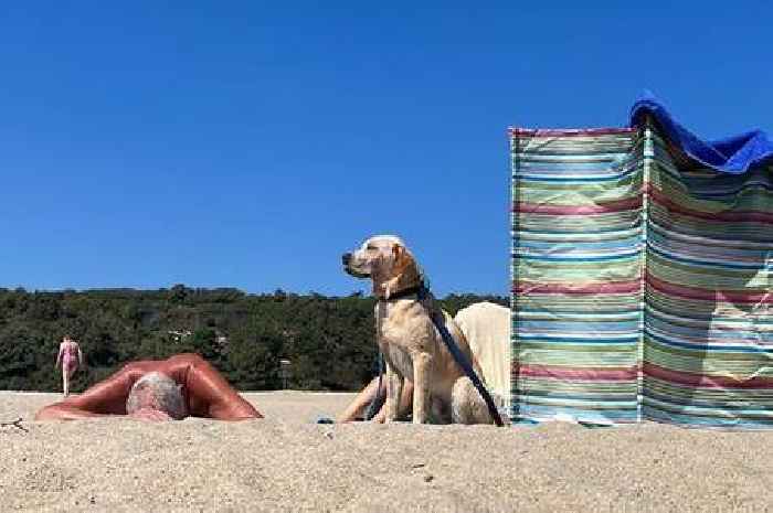 Cornwall heat health alert extended as temperatures soar