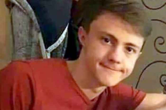 Teen who stabbed his own brother to death as mother watched on in horror jailed