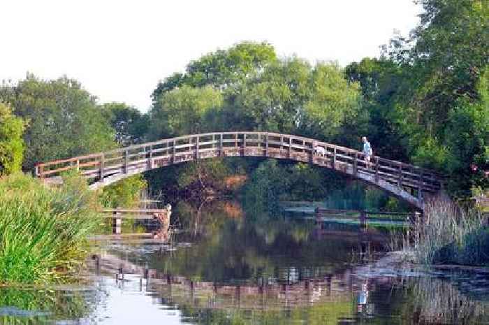 River Soar 'in crisis' as environmental group find 'thousands' of dead fish in the water