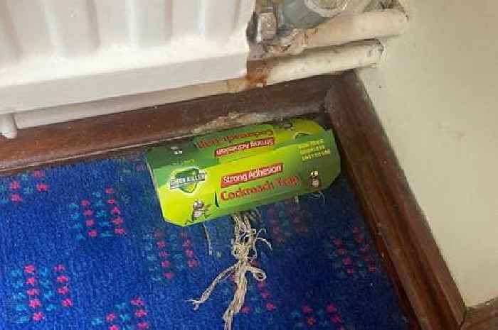 Inside 'ant-infested' hotel room where mum and toddler have been stuck for 9 weeks