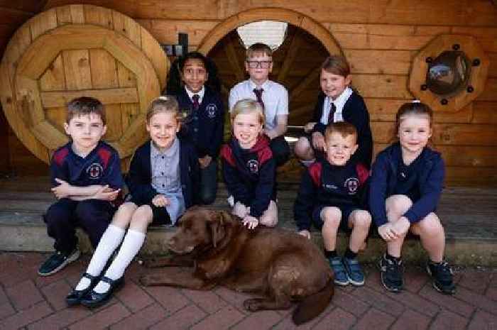 Pupils 'at the heart of everything' at school with own therapy dog