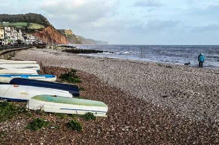 Nine Devon beaches hit with pollution warnings after heavy rain