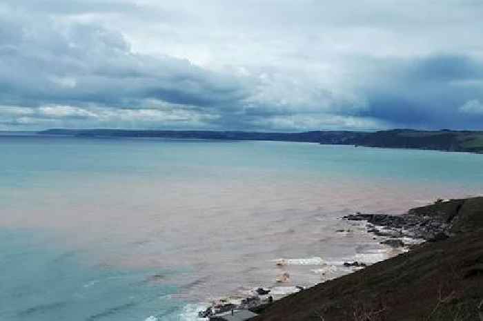 Eight Cornwall beaches hit with pollution warnings after heavy rain