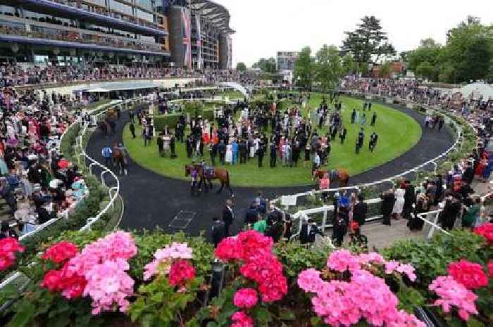 Royal Ascot steward rushed to hospital after being kicked in the head by a horse
