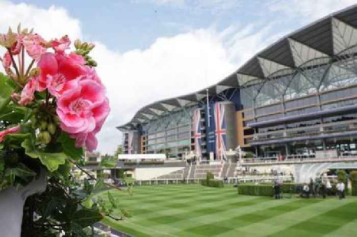 Royal Ascot Day 3 tips as Eldar Eldarov napped for Gold Cup success