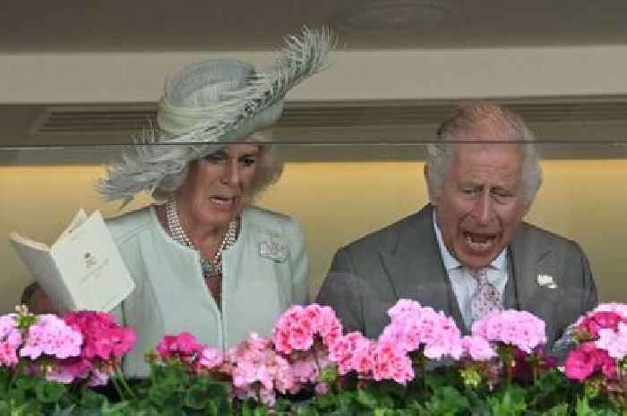 King Charles and Queen Camilla celebrate dramatic first Royal Ascot winner