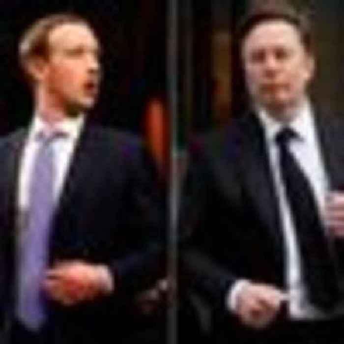 Musk and Zuckerberg agree to cage fight