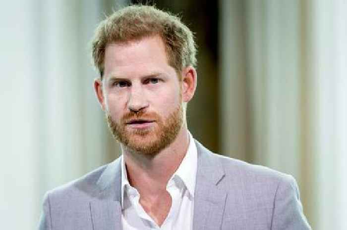 Prince Harry's 'Spotify podcast pitch' revealed by insiders