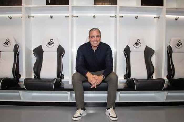 The many tasks facing new Swansea City boss Michael Duff as scale of the job stark