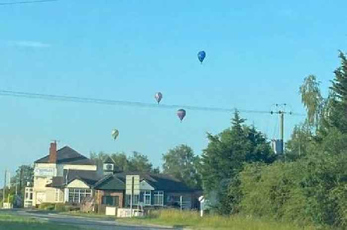 Man dies in hot air balloon crash after craft 'exploded into flames mid-air'