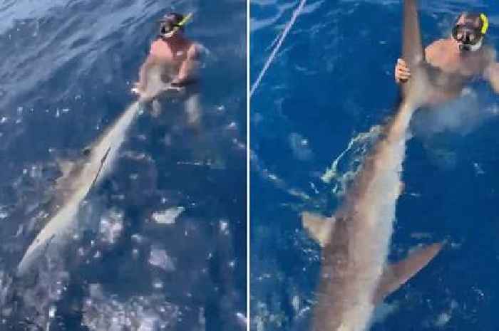 NFL super agent slammed by PETA after he was snapped wrestling with shark