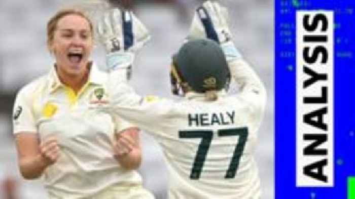 Australia have 'momentum' for decisive Ashes day - Hartley